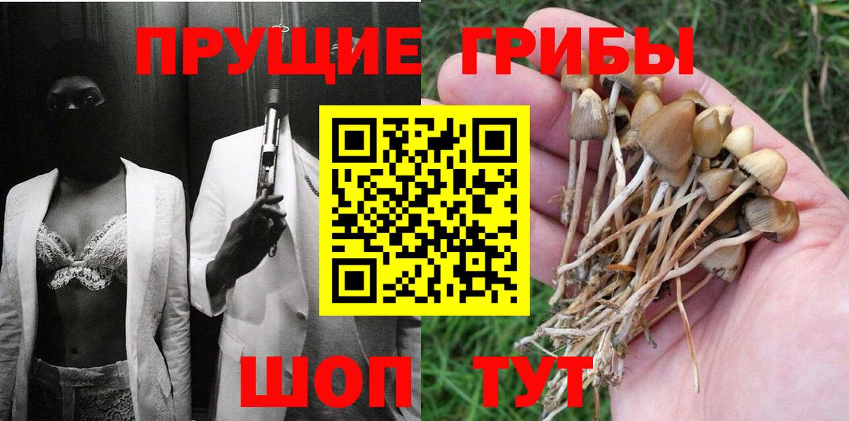 Псилоцибиновые грибы Cubensis Ноябрьск