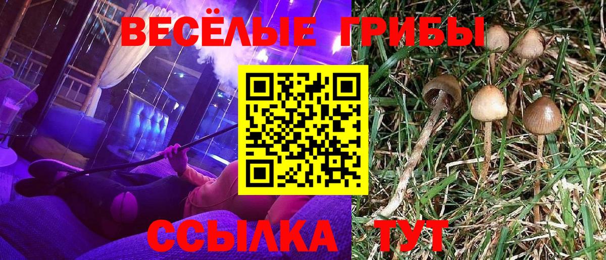 Ноябрьск  Галлюциногенные грибы MAGIC MUSHROOMS  Вход с VPN 